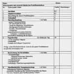 Tagesbericht Praktikum Vorlage Word Erstaunlich Praktikumsbericht Kindergarten Tagesbericht Luxus