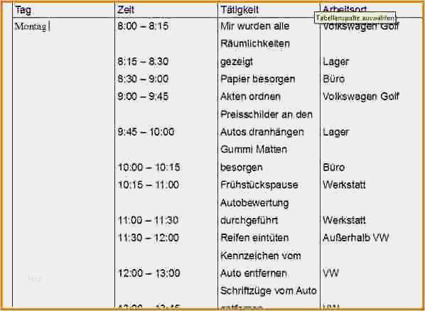 Tagesbericht Praktikum Vorlage Word Wunderbar 75 Inspiration Praktikum Wochenbericht Vorlage Galerie