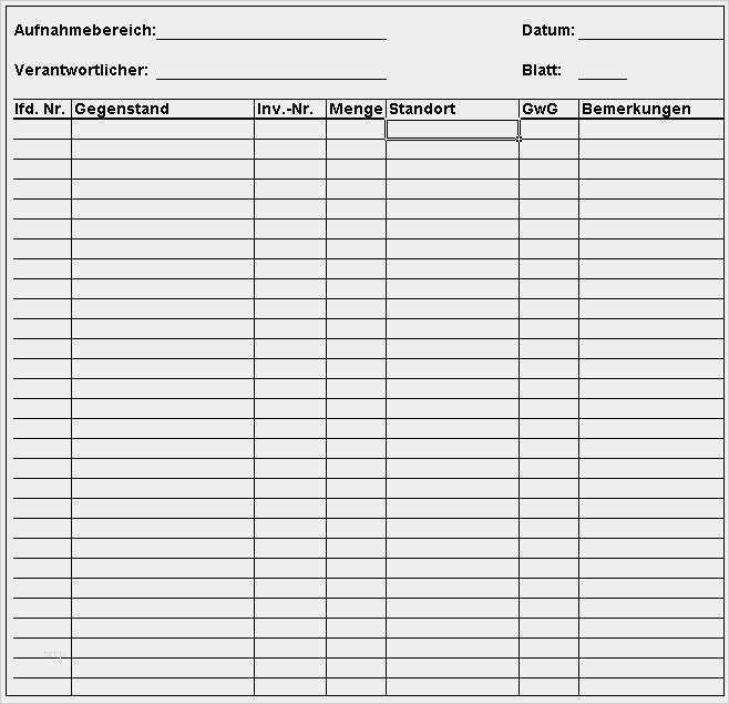 Tagesbericht Praktikum Vorlage Zum Ausdrucken Cool Inventur Vorlage Excel Vorlagen Shop