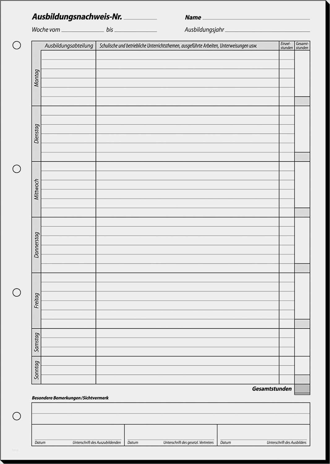 Tagesbericht Vorlage Word Bewundernswert 20 Tagesbericht Vorlage Excel