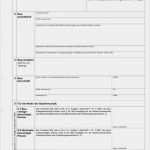 Tagesbericht Vorlage Word Großartig 12 1bau Tagesbericht Vorlage Word