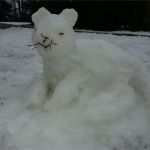 Tankgutschein 44 Euro Vorlage Gut 44 Euro Gutschein Arbeitgeber