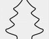 Tannenbaum Vorlage Zum Ausdrucken Genial Le Malvorlagen Tannenbaum Ausmalbilder