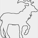 Tannenbaum Vorlage Zum Ausdrucken Luxus Tannenbaum Vorlage Zum Ausdrucken Bildergalerie Ideen