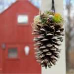 Tannenzapfen Basteln Vorlagen Angenehm Basteln Mit Tannenzapfen 50 Diy Ideen