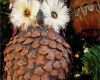 Tannenzapfen Basteln Vorlagen Großartig Weihnachtsdeko Mit Tannenzapfen Buscar Con Google