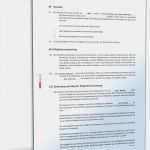 Tätigkeitsbericht Gemeinnütziger Verein Vorlage Erstaunlich Satzung Gemeinnütziger Verein Muster Zum Download