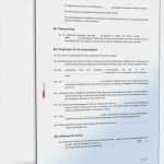 Tätigkeitsbericht Gemeinnütziger Verein Vorlage Fabelhaft Detaillierte Satzung Gemeinnütziger Verein Muster En