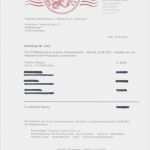 Tätigkeitsbericht Gemeinnütziger Verein Vorlage Süß Einnahmen Ausgaben Rechnung Gemeinnütziger Verein Excel