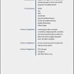 Tätigkeitsbeschreibung Vorlage Beste Lebenslauf Muster Vorlage 4 Bewerbungswissen