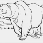 Tattoo Gutschein Vorlagen Zum Ausdrucken Beste Tattoo Gutscheine Zum Ausdrucken Gratis Otto Versand