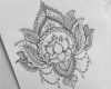 Tattoo Mandala Vorlage Beste 44 Best Lotus Tattoo Designs Golfian