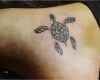 Tattoo Schildkröte Vorlagen Beste 25 Schildkröten Tattoo Ideen Bilder Und Bedeutungen