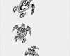 Tattoo Schildkröte Vorlagen Cool Die Besten 25 Schildkröten Tattoo Ideen Auf Pinterest