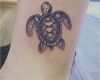 Tattoo Schildkröte Vorlagen Einzigartig Die Besten 25 Schildkröten Tattoo Ideen Auf Pinterest