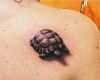 Tattoo Schildkröte Vorlagen Großartig Die Besten 25 Schildkröten Tattoo Ideen Auf Pinterest