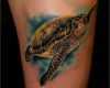 Tattoo Schildkröte Vorlagen Süß E17eeb4424e23e02d41c8f129a72fdbf 752×1 080 Pixels