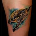 Tattoo Schildkröte Vorlagen Süß E17eeb4424e23e02d41c8f129a72fdbf 752×1 080 Pixels