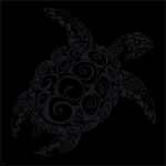 Tattoo Schildkröte Vorlagen Wunderbar tortue Tattoo Pinterest