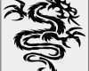 Tattoo Vorlage Drucken Bewundernswert Luxus Drachen Vorlage Tattoo Avec Tribal Vorlagen Zum