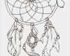 Tattoo Vorlage Drucken Luxus Traumfänger Tattoo Vorlage Mit Federn Und Blumen