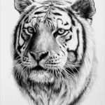 Tattoo Vorlagen Zeichnen Angenehm 1001 Ultra Coole Tiger Tattoo Ideen Zur Inspiration