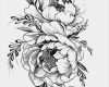 Tattoo Vorlagen Zeichnen Best Of Blumen Zeichnen Vorlagen Frais Image Pin Von Carly whorms