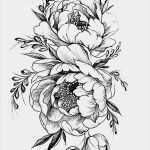 Tattoo Vorlagen Zeichnen Best Of Blumen Zeichnen Vorlagen Frais Image Pin Von Carly whorms
