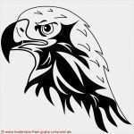 Tattoo Vorlagen Zum Ausdrucken Fabelhaft 100 Tribal Vorlagen Zum Ausdrucken Bilder Ideen