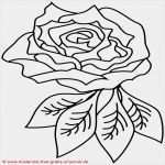 Tattoo Vorlagen Zum Ausdrucken Hübsch 100 Tribal Vorlagen Zum Ausdrucken Bilder Ideen