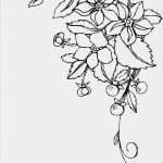 Tattoo Vorlagen Zum Ausdrucken Schönste Ausmalbilder Blumen Ranken Kostenlos Malvorlagen Zum