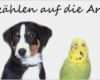 Taufkerze Arche Noah Vorlage Luxus Arche Noah Tiere In Not E V