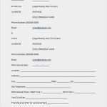 Technical Rider Dj Vorlage Cool Dj Rider Template – Undersun