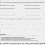 Technische Und organisatorische Maßnahmen Vorlage Bewundernswert Technische Und organisatorische Maßnahmen toms Nach 9