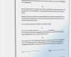 Teilhaber Vertrag Vorlage Cool Au Pair Vertrag Muster Vorlage Zum Download