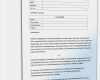 Teilhaber Vertrag Vorlage Genial Au Pair Vertrag Muster Vorlage Zum Download