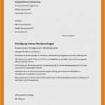 Telefon Kundigung Vorlage Pdf Neu 7 formale Kündigung Muster