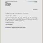 Telekom Kündigung Handyvertrag Vorlage Angenehm Kündigung Telekom Vorlage Bewundernswert