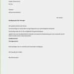 Telekom Kündigung Vorlage Handy Schön 14 Kündigungsschreiben Vertrag