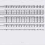 Temperaturkontrolle Gastronomie Vorlage Schön Reinigungsplan Küche Haccp