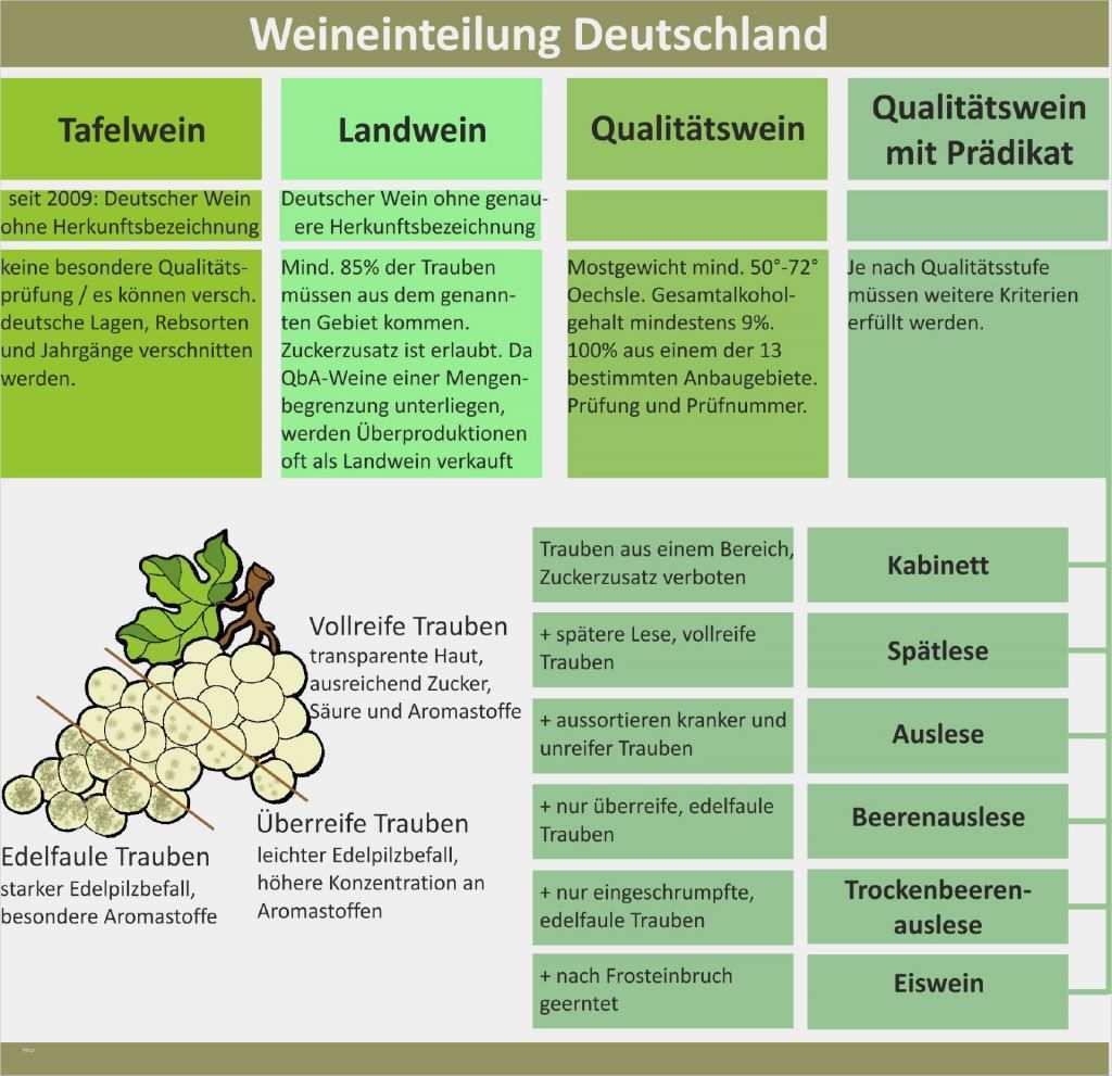 Temperaturkontrolle Gastronomie Vorlage Süß Downloads Für Gastronomie