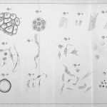 Temperaturkontrolle Gastronomie Vorlage Wunderbar Hygieneplan Küche