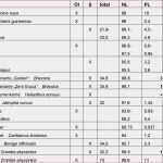 Temperaturkontrolle Vorlage Erstaunlich Temperaturkontrolle Lebensmittel Vorlage Haccp Konzept