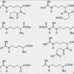 Temperaturkontrolle Vorlage Schön Temperaturkontrolle Lebensmittel Vorlage Haccp Konzept