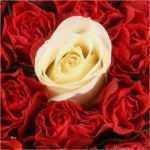 Terminzettel Vorlage Rechtsanwalt Einzigartig Grußkarten Gratis