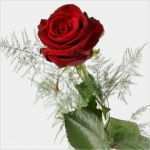 Terminzettel Vorlage Rechtsanwalt Einzigartig Grußkarten Gratis