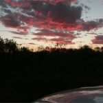 Terrassenüberdachung Nachbar Genehmigung Vorlage Erstaunlich Zustimmung Nachbar Grenzbebauung formular Dehoga Shop