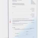 Testament Erstellen Vorlage Schön Die Fabelhaften Testament Schreiben Handschriftlich Muster