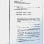 Testament Für Lebensgefährten Vorlage Neu Beliebte Downloads • Testamente Dokumente & Vorlagen