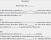 Testament Selber Verfassen Vorlage Erstaunlich Testament Vor Und Nacherbschaft sofort Zum Download